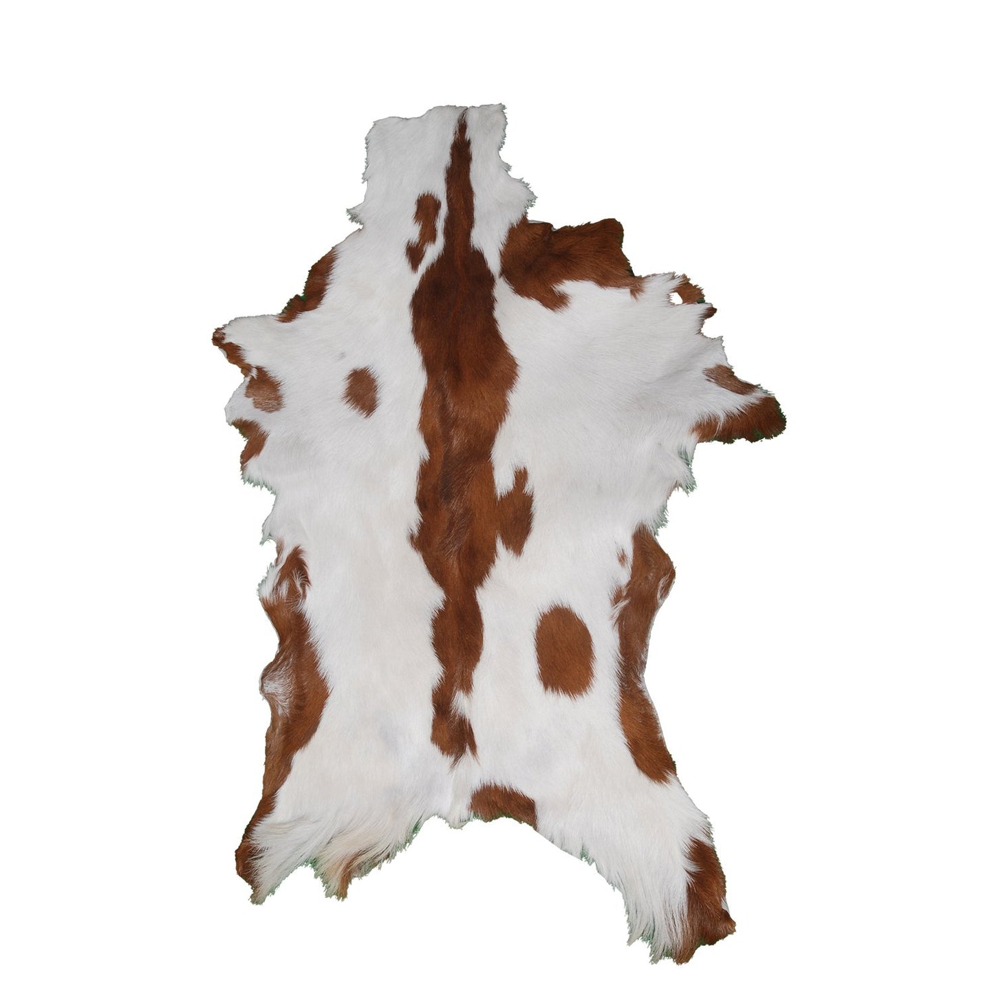 Original Goatskin Hide Brown, Goat Skin Rug, Goatskin Pelt, Home Decor Animal Skin Rug, Bedroom Aesthetic Area Rug, Brown and White Goat Hide Rug, Goat Skin Rug, Animal Skin Rug, Real Hair on Hide, Goal Pelt Rug, Home Decor Rug, Living Room Area Rug, Wall Hanging Rug, Aesthetic Rug, Leather Rug, Decorative Rug, Brown Goatskin Rug, GoatHide Brown White