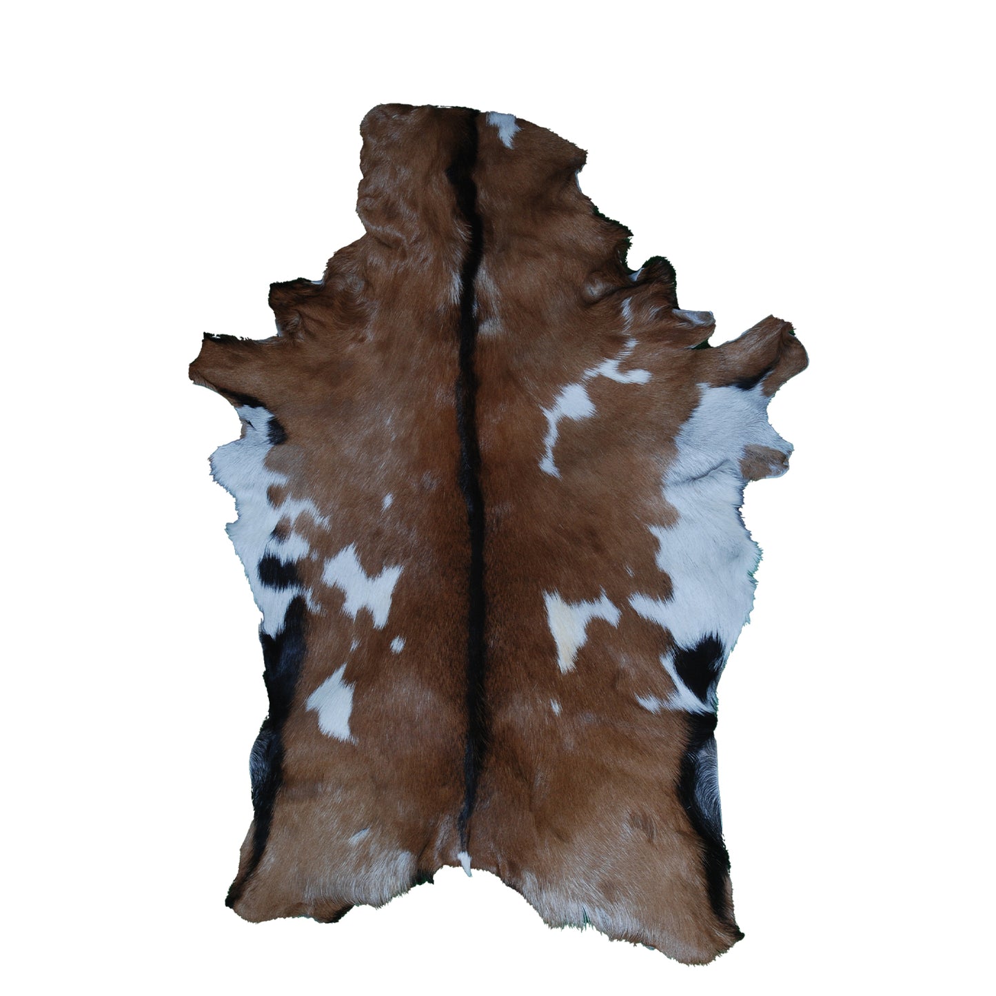 Authentic Dark Brown Goat Hide Rug - Rich Color and Unique Pattern for Home Styling