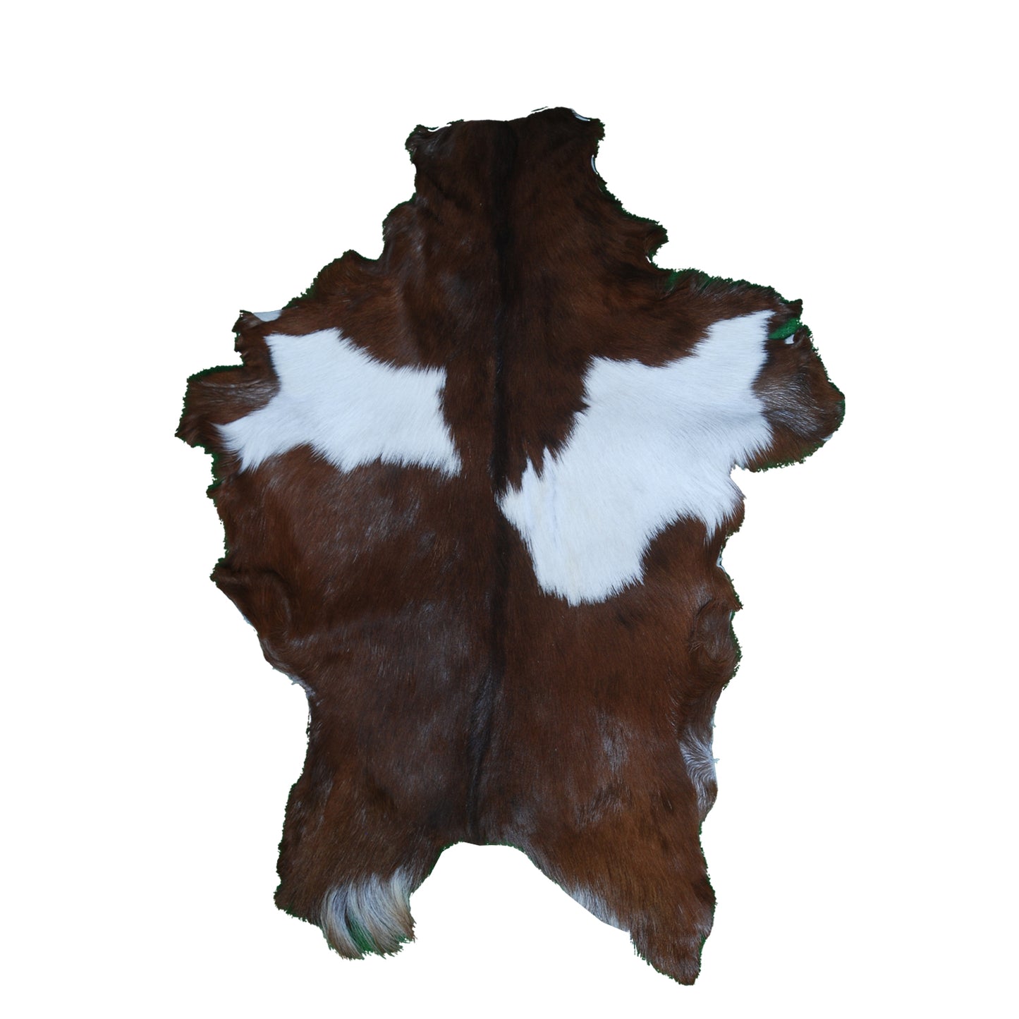 Authentic Dark Brown Goat Hide Rug - Rich Color and Unique Pattern for Home Styling