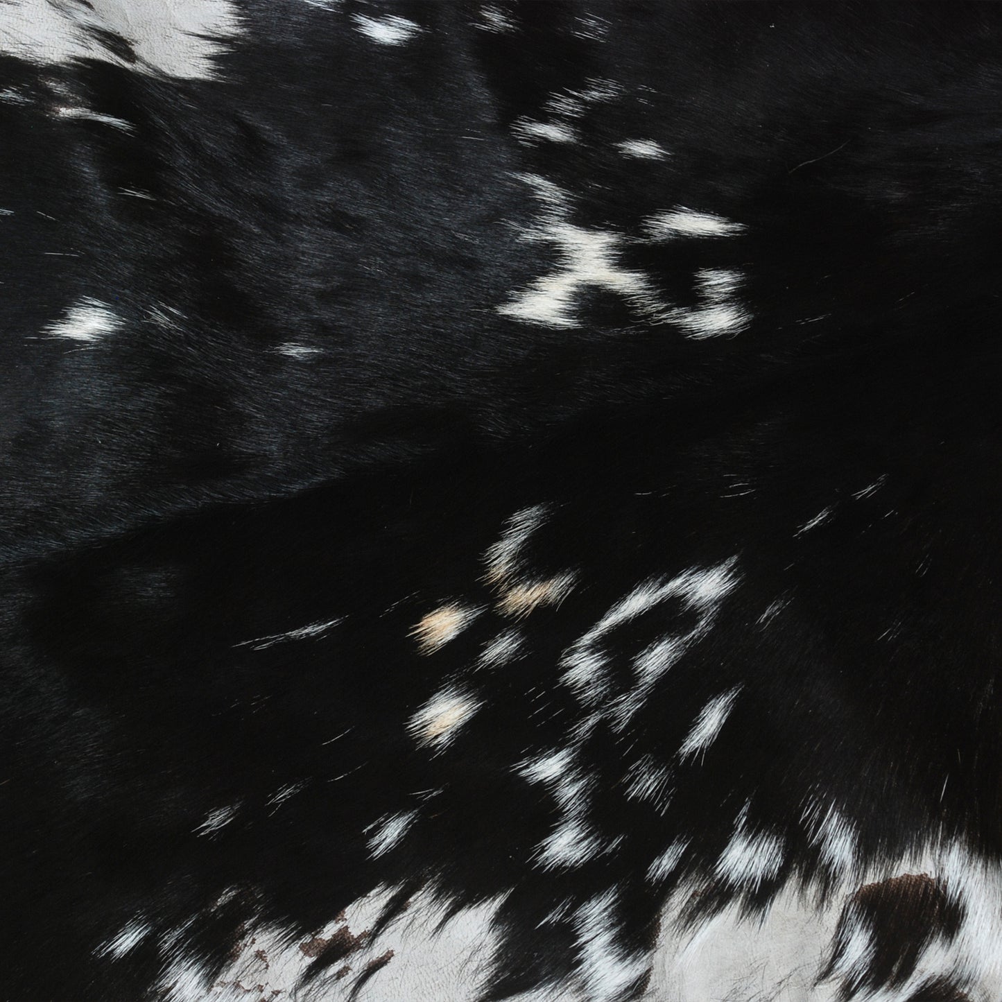 Striking Black & White Goat Skin Rug - Soft, Hypoallergenic, - Stylish Home Décor Accent - Celestial Leather Limited