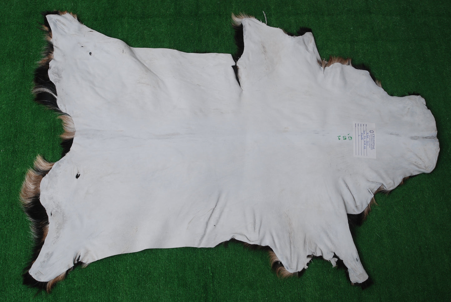Natural Tri-Color Goat Hide Rug - Luxurious Accent for Rustic and Modern Spaces