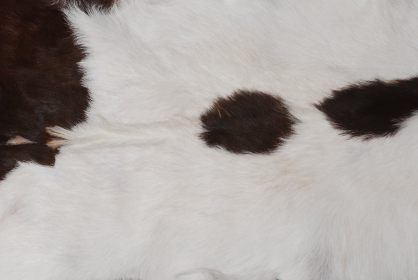 Authentic Dark Brown Goat Hide Rug - Unique Pattern for Modern and Classic Décor