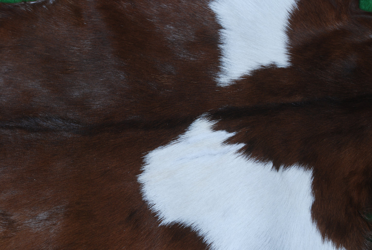 Authentic Dark Brown Goat Hide Rug - Rich Color and Unique Pattern for Home Styling