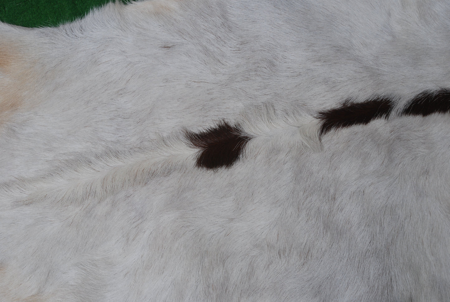 Authentic Dark Brown Goat Hide Rug - Rich Color and Unique Pattern for Home Styling