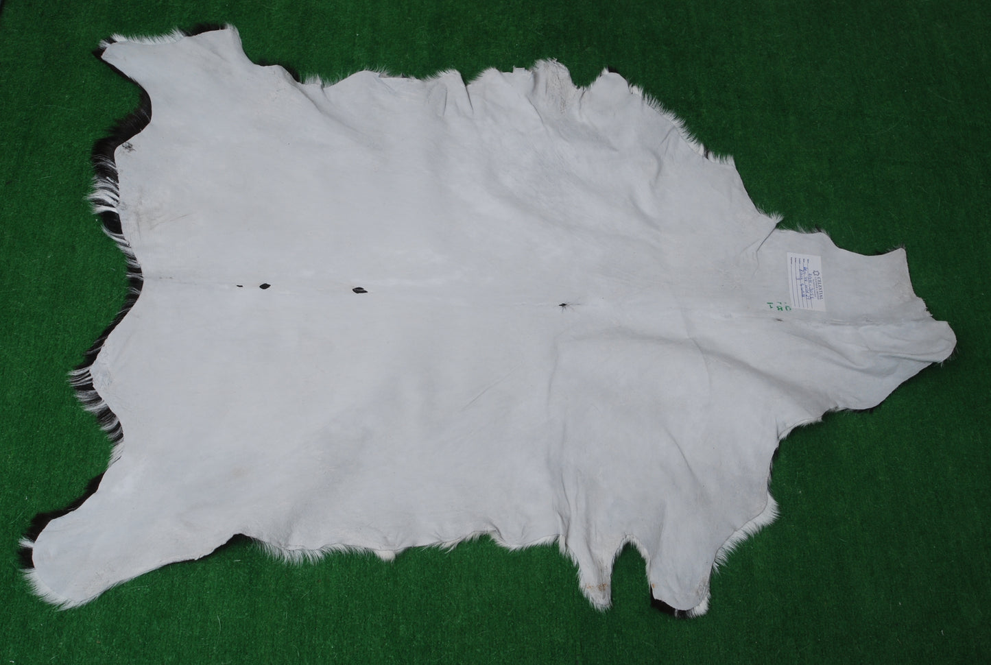 Authentic Black and White Goat Skin Rug - Perfect for Modern and Classic Décor