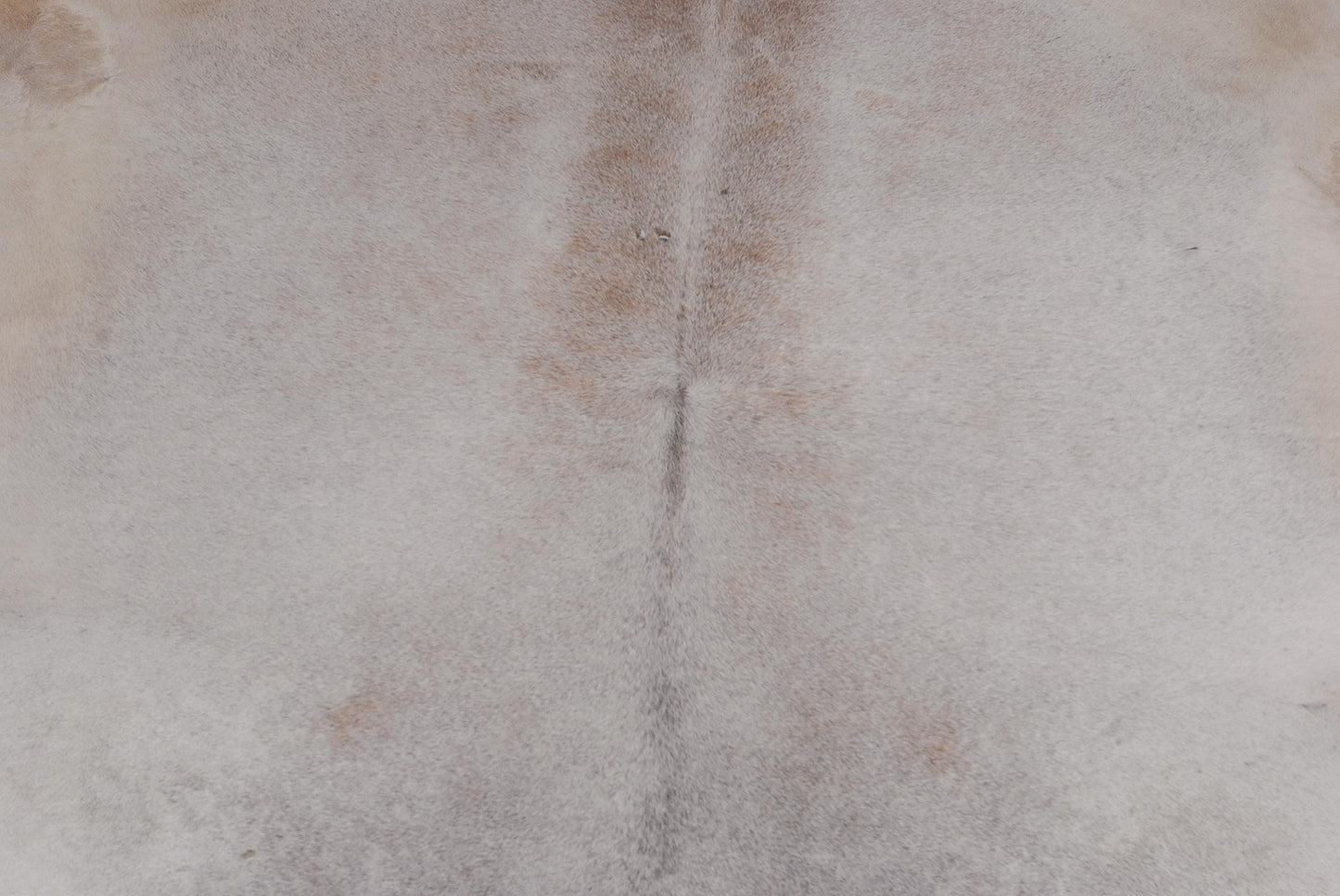Luxurious Large Multicolour Animal Print Cowhide Rug for Chic Living Spaces