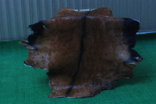 Natural Dark Brown Goat Hide Rug - Perfect for Modern and Rustic Spaces