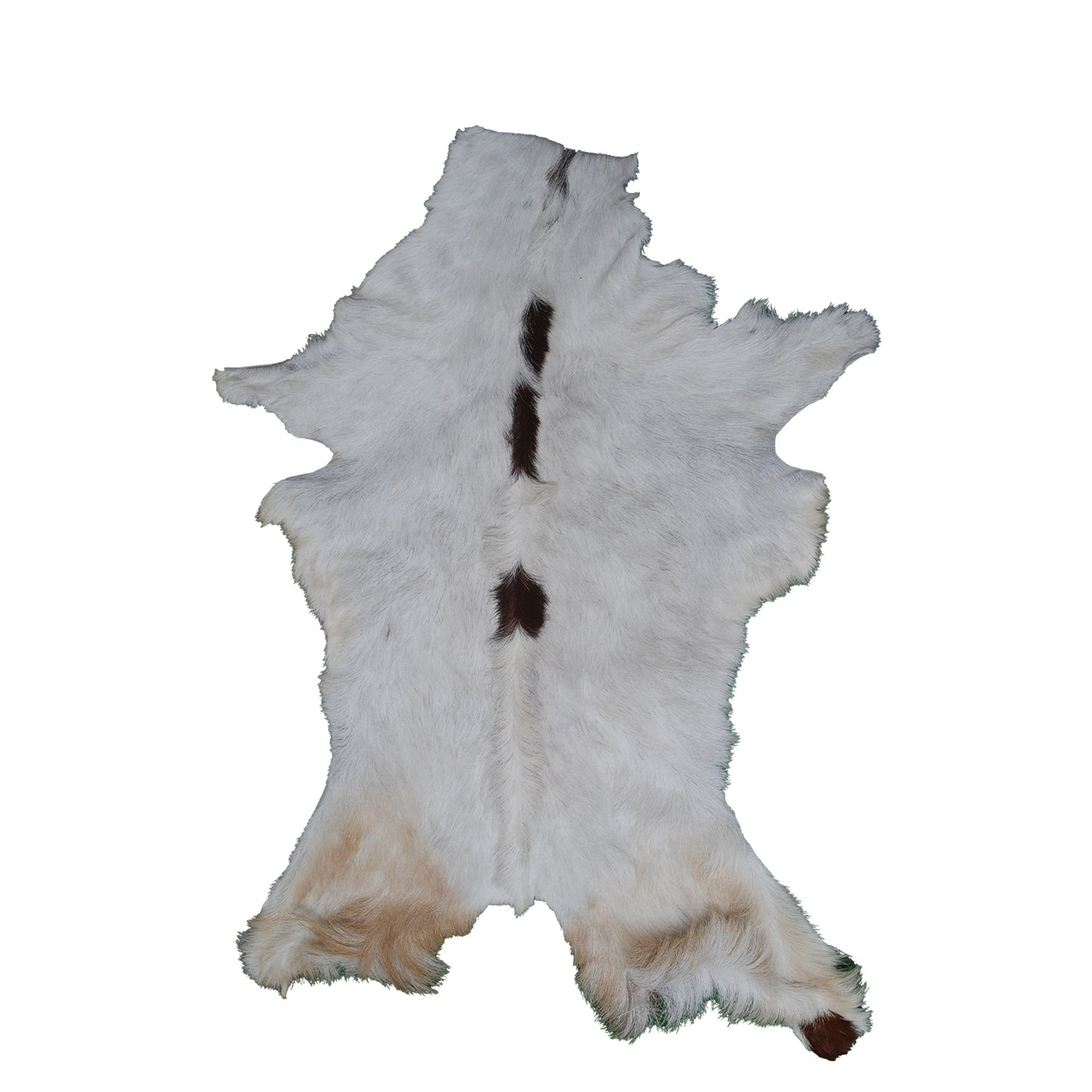 Authentic Dark Brown Goat Hide Rug - Rich Color and Unique Pattern for Home Styling