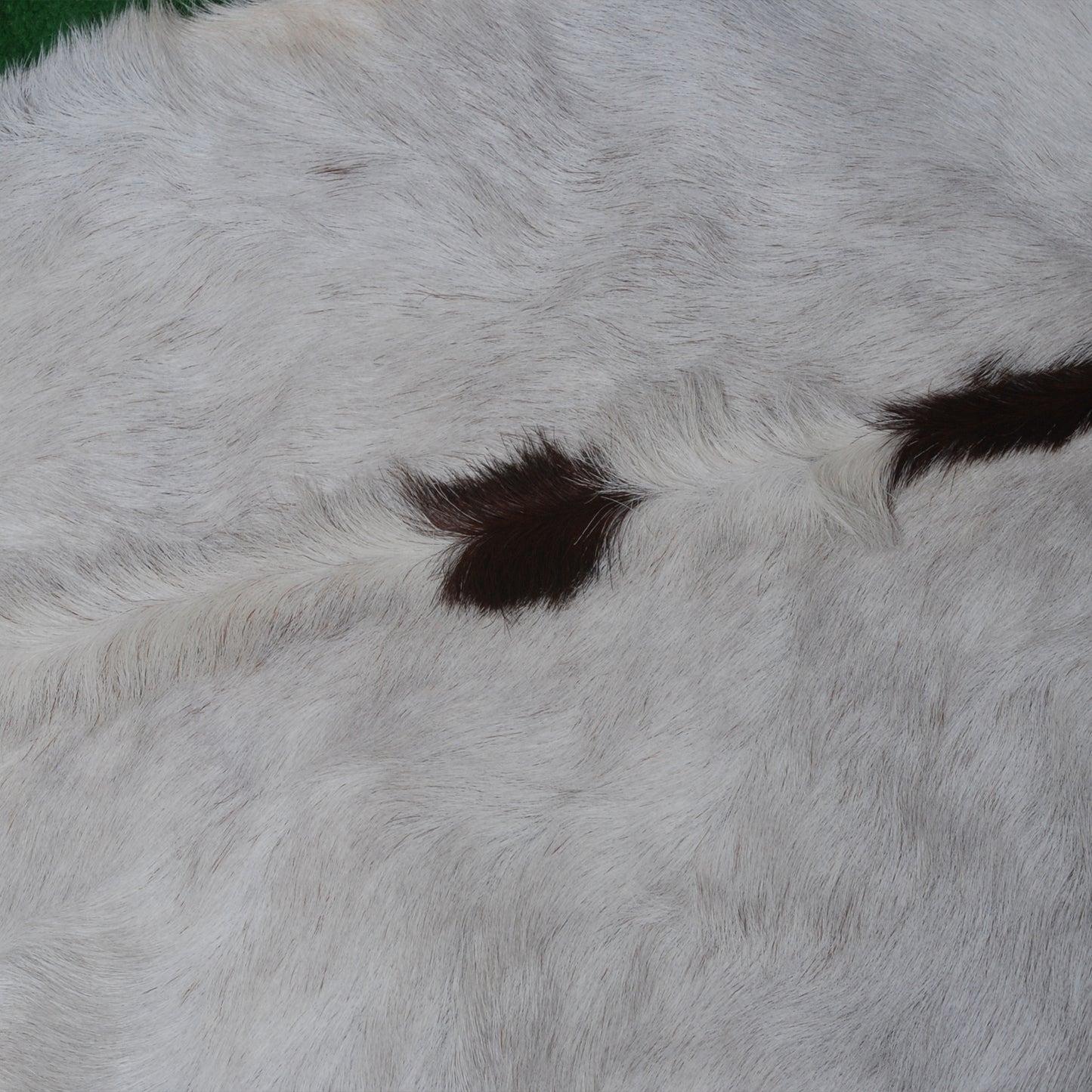 Authentic Dark Brown Goat Hide Rug - Rich Color and Unique Pattern for Home Styling