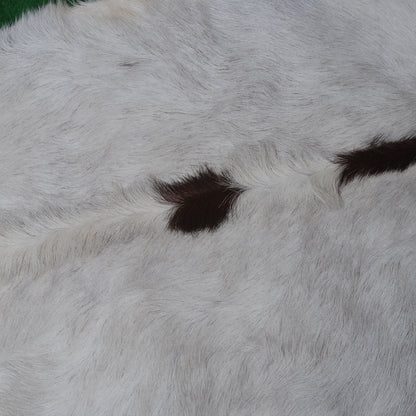 Authentic Dark Brown Goat Hide Rug - Rich Color and Unique Pattern for Home Styling