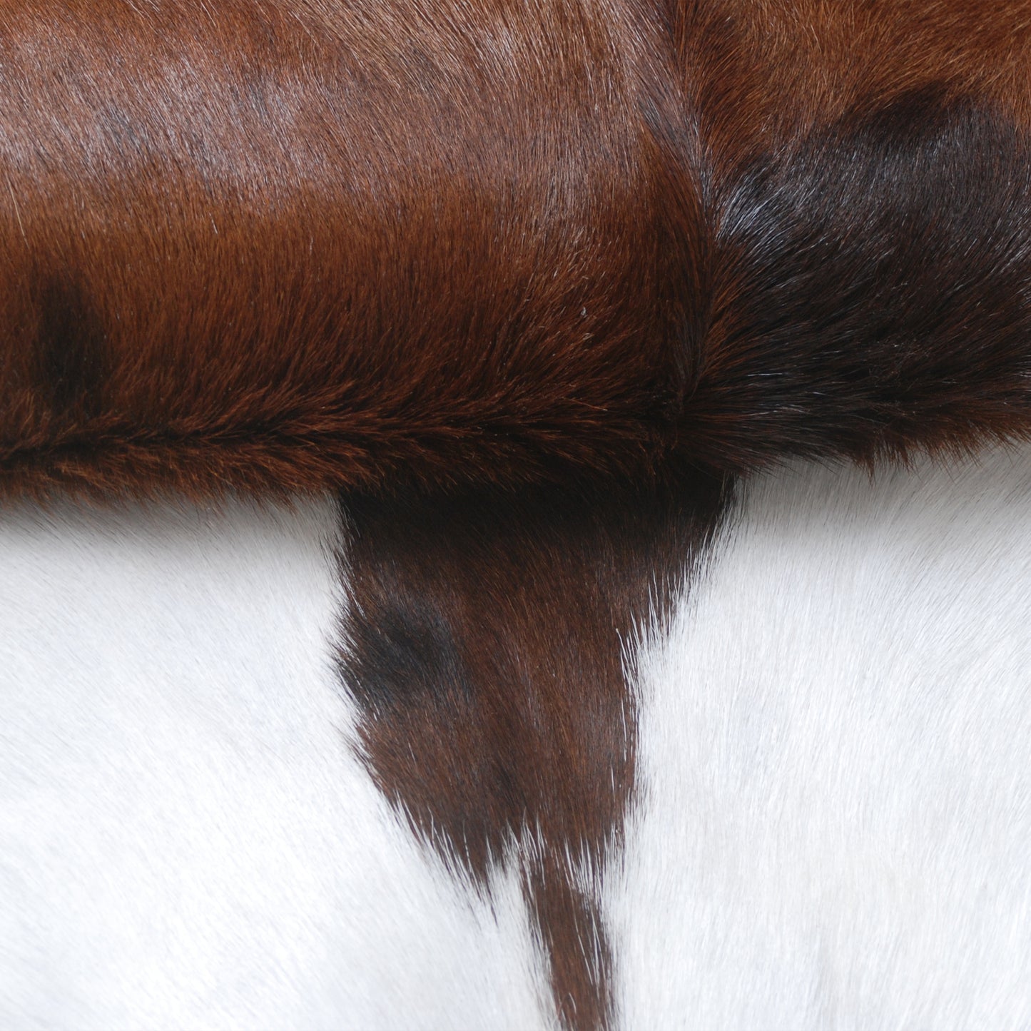 Natural Hair-On Dark Brown Goat Skin Rug - Elegant and Durable for Any Room