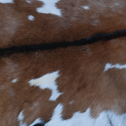 Authentic Dark Brown Goat Hide Rug - Rich Color and Unique Pattern for Home Styling