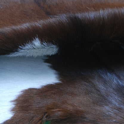 Authentic Dark Brown Goat Hide Rug - Rich Color and Unique Pattern for Home Styling