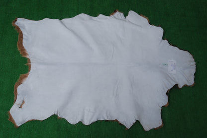 Luxurious Multicolor Goat Skin Rug for Stylish, Eco-Friendly Home Decor - Celestial Leather Limited