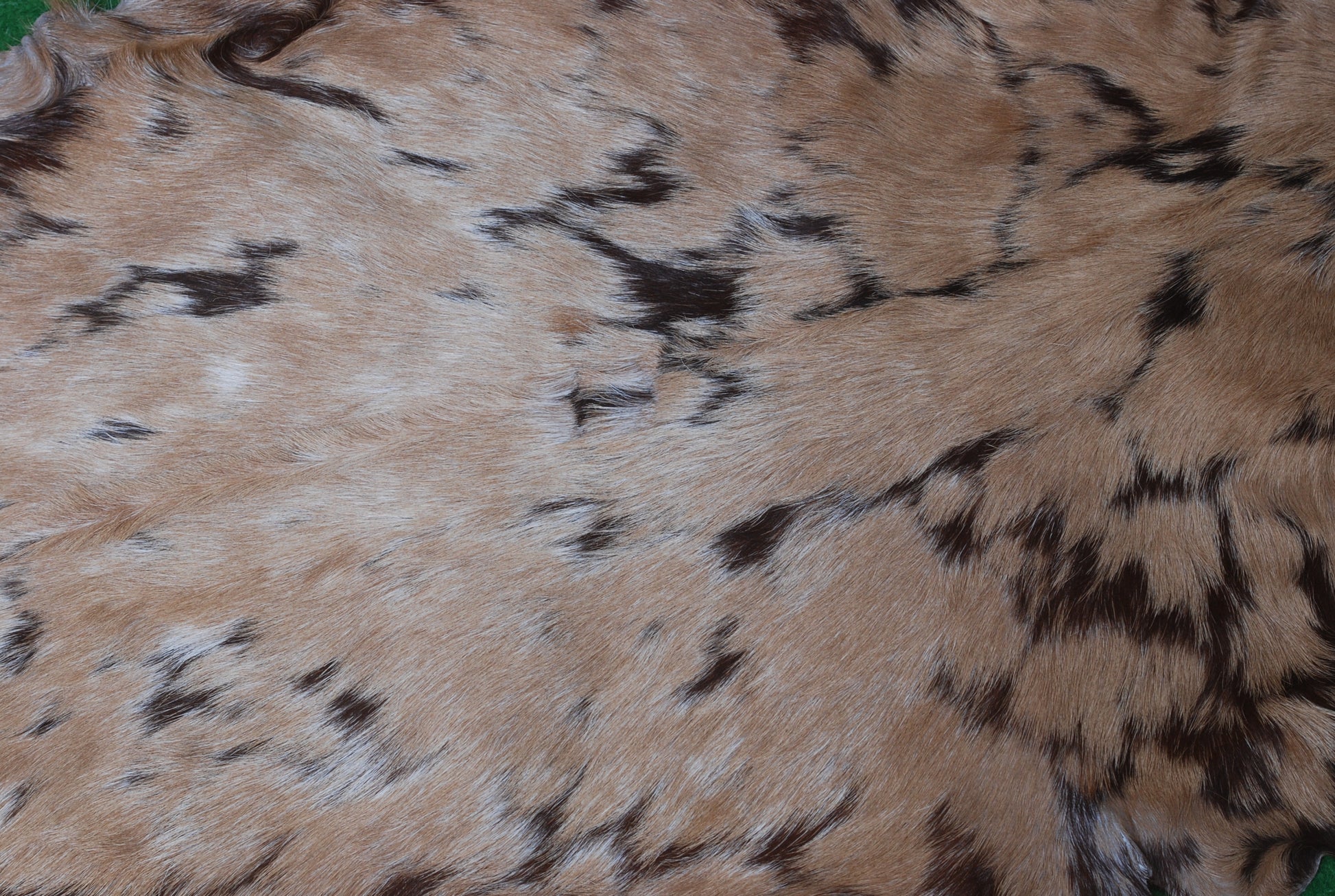 Luxurious Multicolor Goat Skin Rug for Stylish, Eco-Friendly Home Decor - Celestial Leather Limited
