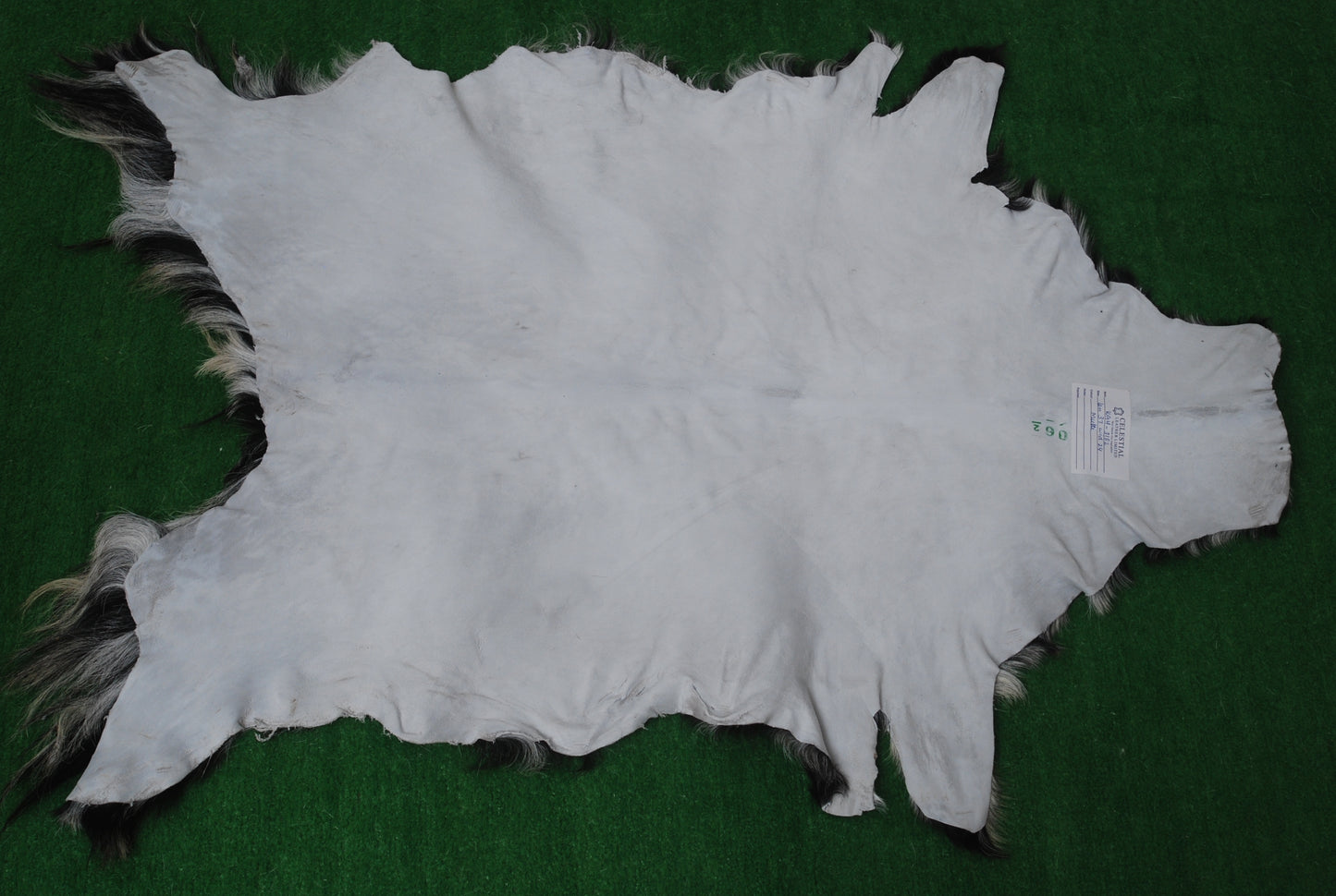 Premium Tri-Color Goat Skin Rug - Genuine Hair-On Leather for Unique Décor
