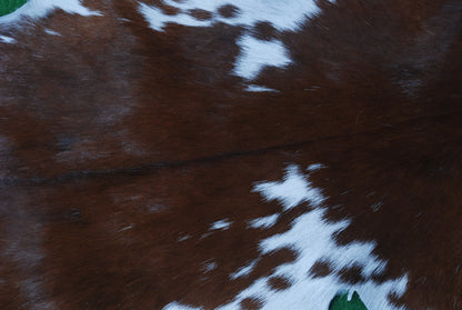 Authentic Dark Brown Goat Hide Rug - Unique Pattern for Modern and Classic Décor
